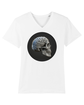 Craniu (cu creier) skullbrain 01 White