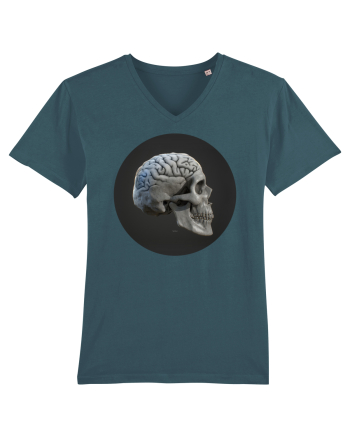 Craniu (cu creier) skullbrain 01 Stargazer