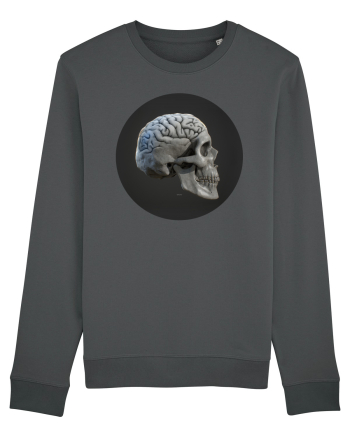 Craniu (cu creier) skullbrain 01 Anthracite