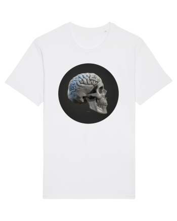 Craniu (cu creier) skullbrain 01 White