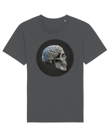 Craniu (cu creier) skullbrain 01 Anthracite