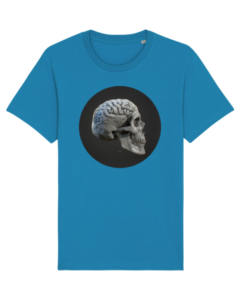 Craniu (cu creier) skullbrain 01 Azur