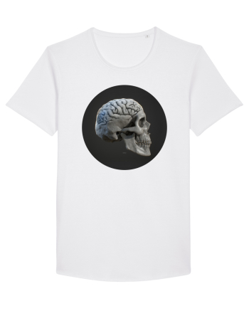 Craniu (cu creier) skullbrain 01 White