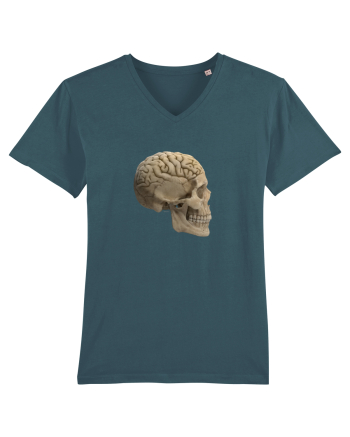 Craniu (cu creier) skullbrain 02 Stargazer