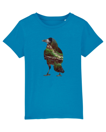 Crow Nature Azur