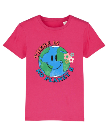 There is No Planet B Raspberry