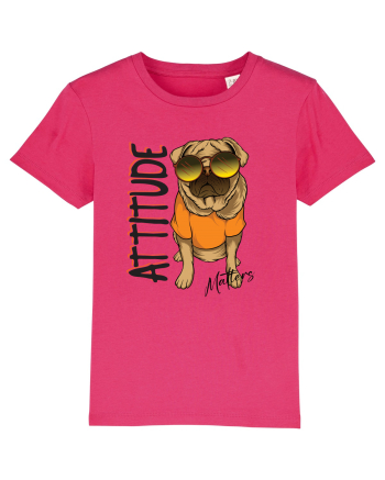 Cu atitudine - Attitude matters Raspberry