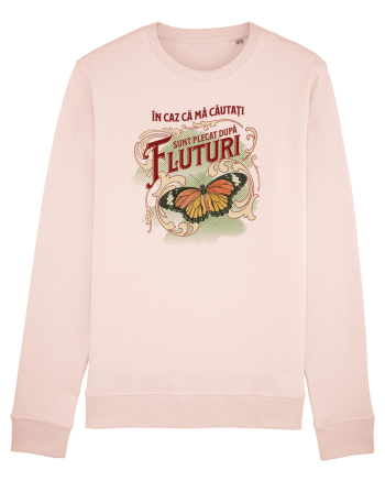 În caz că mă căutați, sunt plecat după fluturi Candy Pink
