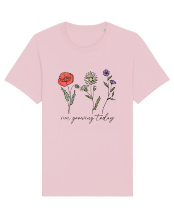 I'm growing today Cotton Pink