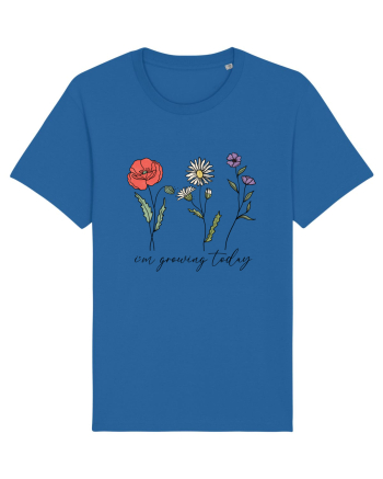 I'm growing today Royal Blue