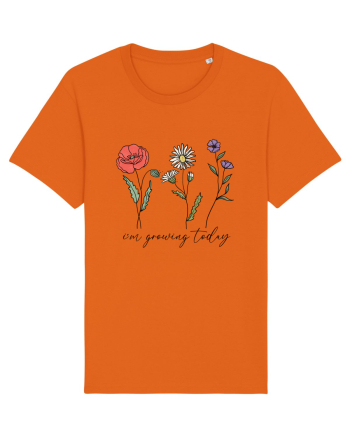 I'm growing today Bright Orange