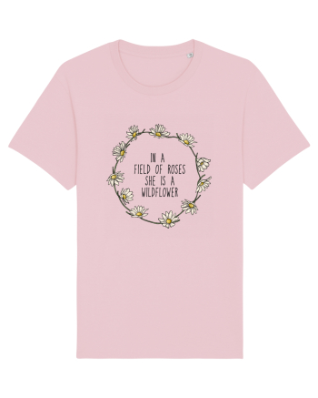 In a field of roses she is a wildflower Cotton Pink