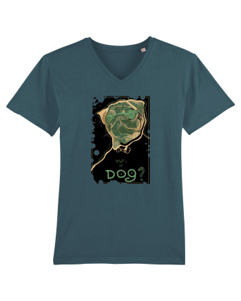 What's up dog? Stargazer