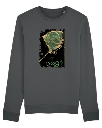 What's up dog? Anthracite