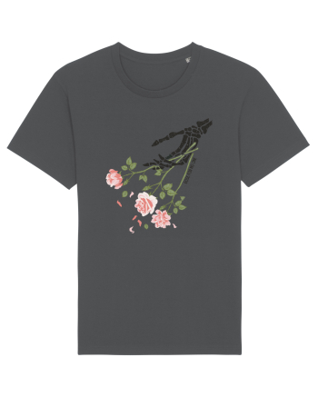 Rose for no one Anthracite