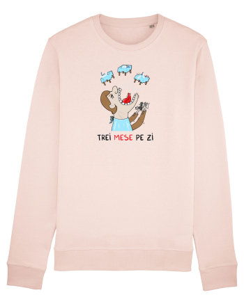 Trei mese pe zi Candy Pink