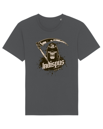 Indispus Anthracite