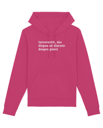 introvertit Raspberry