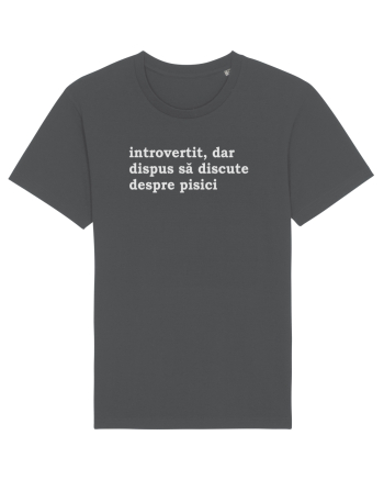 introvertit Anthracite