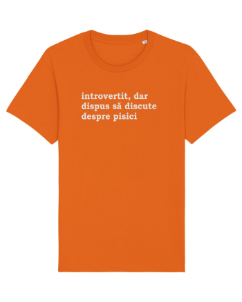 introvertit Bright Orange