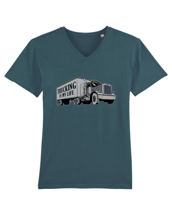 Trucking is my life Stargazer