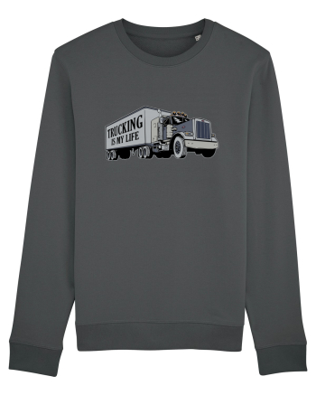 Trucking is my life Anthracite