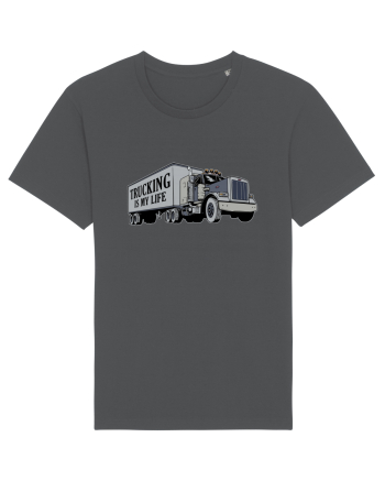 Trucking is my life Anthracite