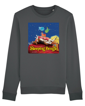 The Sleeping Beagle Anthracite