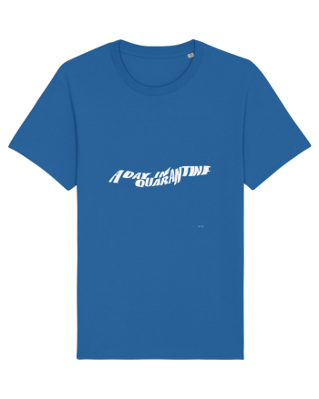 a day in quarantine 341 Royal Blue