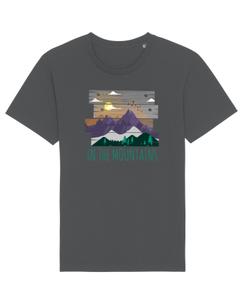 In the Mountains Anthracite