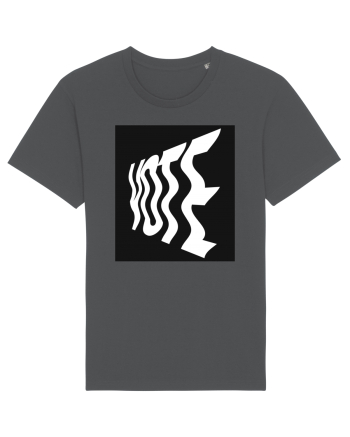 vote 107 Anthracite