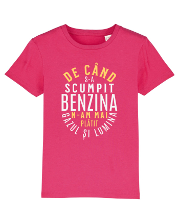 De când s-a scumpit benzina n-am mai plătit gazul și lumina Raspberry