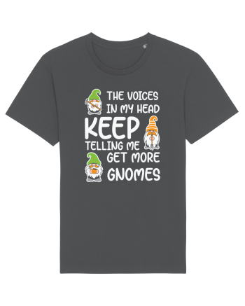 Get more gnomes Anthracite