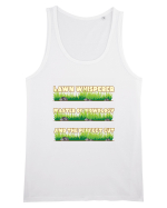 Lawn Whisperer Master of Mowology and the Perfect Cut Maiou Bărbat Runs