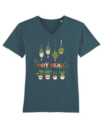 Pot Head Stargazer