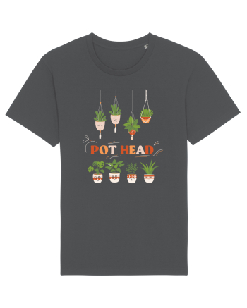 Pot Head Anthracite