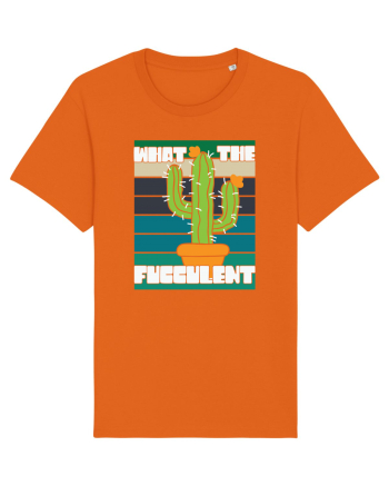 What the Fucculent Bright Orange