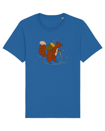 Cu veverita la padure Royal Blue