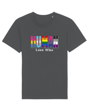 HUMAN - Love Wins Anthracite