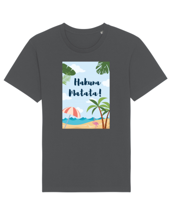 Hakuna matata Anthracite