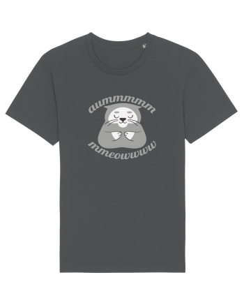 AUM MEOW Anthracite