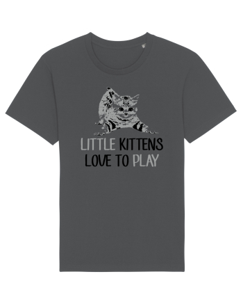 KITTENS Anthracite