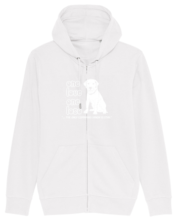 LABRADOR White