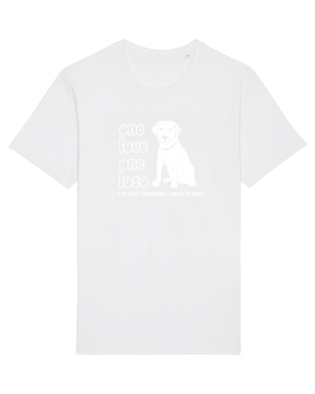 LABRADOR White