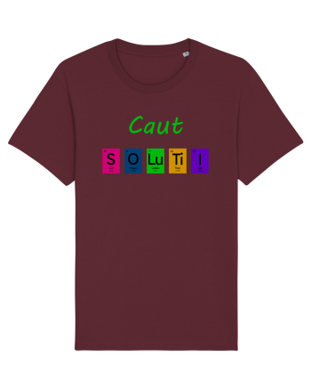Caut Soluții Burgundy