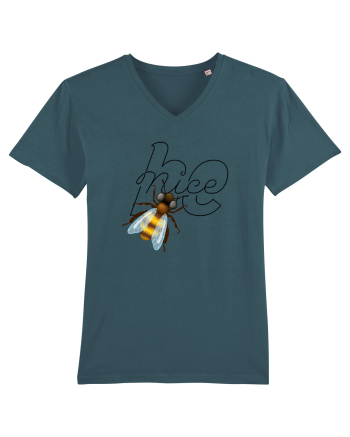 bee nice Stargazer