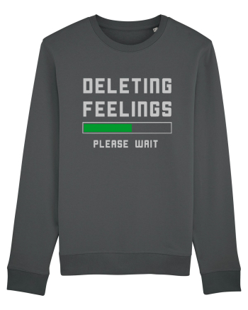 Deleting Feelings Please Wait Anthracite