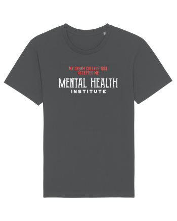 Mental Health Institute Anthracite