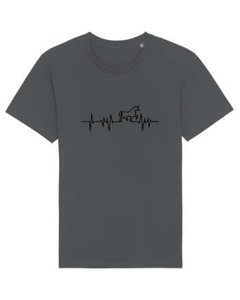 Unicorn Anthracite