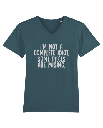 I'M NOT A COMPLETE IDIOT. SOME PIECES ARE MISING. Stargazer